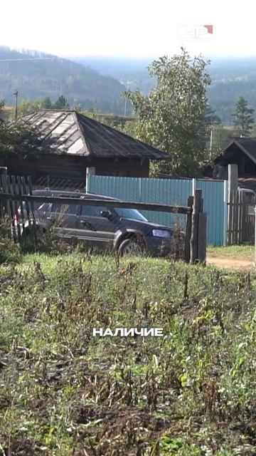 Погрязли в мусоре: жители края требуют отставки ответственных за вывоз ТКО