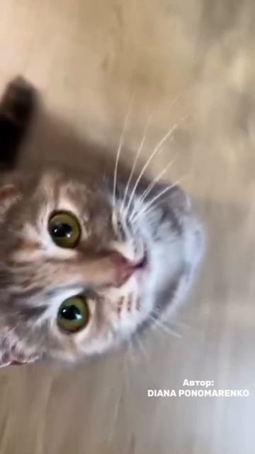 👀🥰❤️