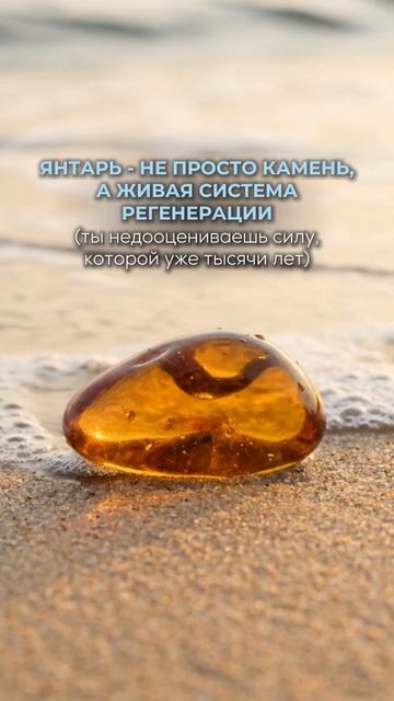 ЯНТАРЬ - не просто камень, а ЖИВАЯ СИСТЕМА РЕГЕНЕРАЦИИ