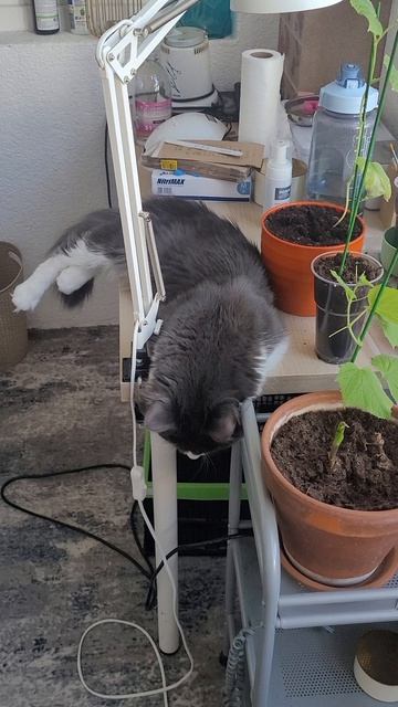На кого он смотрит?