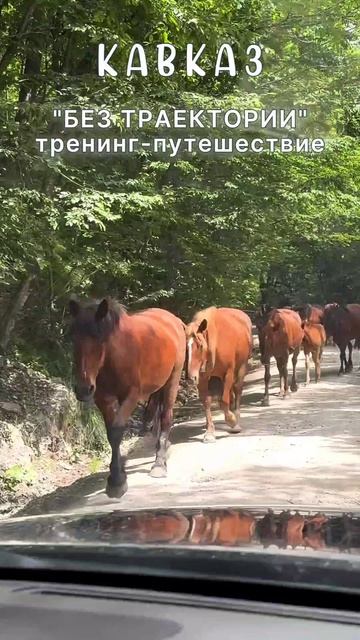 Свободный Кавказ: Реальность, о которой не пишут в путеводителях