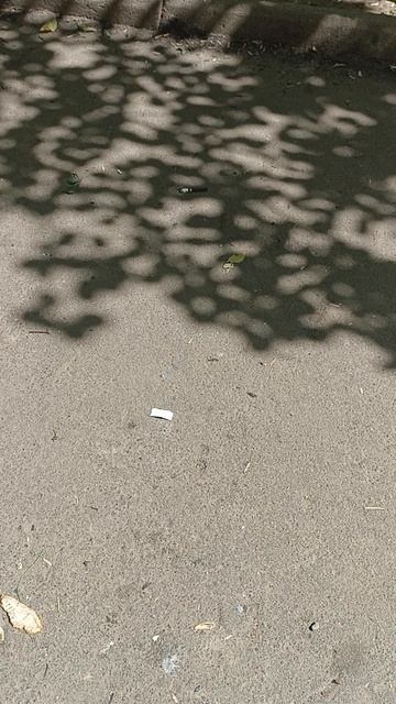 1000004592.mp4