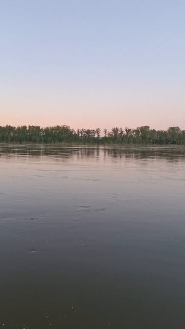 Летняя речка