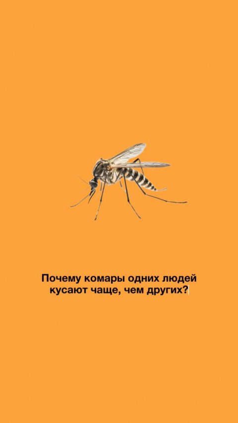 КОМАРЫ ВЫБИРАЮТ ЖЕРТВУ! Что делает вас особенно «вкусным»