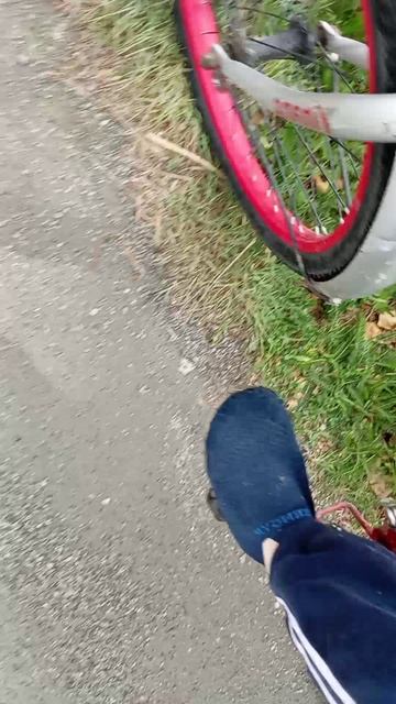 ?