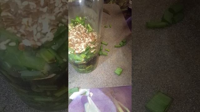 вкуснейший соус для пельменей