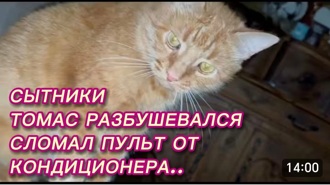 САМВЕЛ АДАМЯН, СЫТНИКИ, ТОМАС РАЗБУШЕВАЛСЯ, ПОЛОМАЛ ПУЛЬТ ОТ ТЕЛЕВИЗОРА..