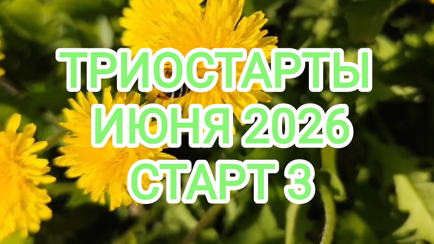 ТРИОСТАРТЫ ИЮНЯ 2026/СТАРТ 3