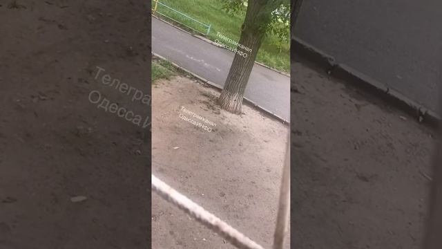 Одесса - каратели Зеленского получают кирпич от местных. Что интересно, общаются на русском.