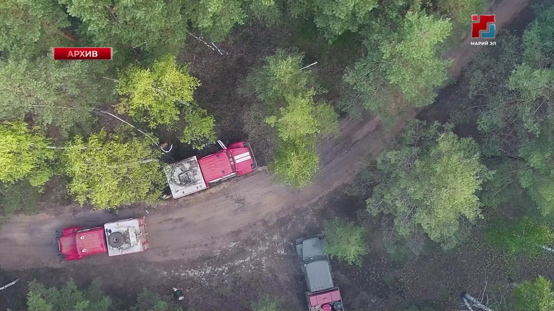 С начала пожароопасного сезона в Марий Эл произошло 8 лесных пожаров