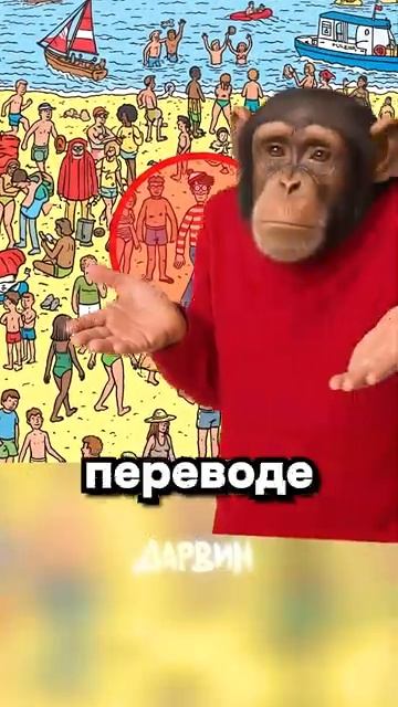 Где же Волли