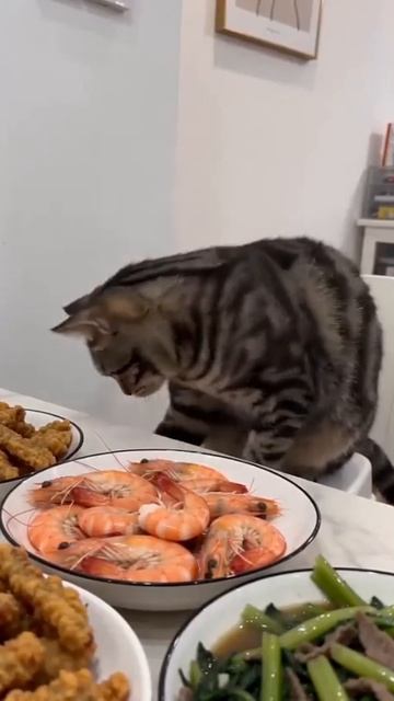 Выход есть всегда