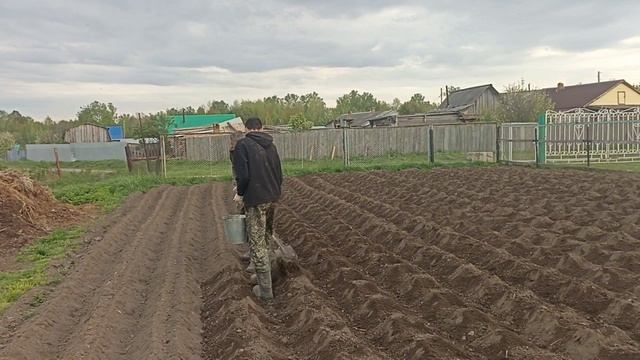 дела огородные и не только