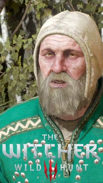 «И руку принцессы» Геральт забирает награду за дракона. The Witcher 3 #shorts