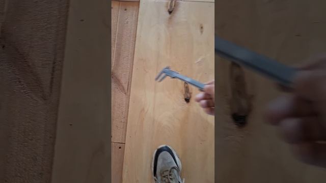 1000060989.mp4 (Собака наблюдает за укладкой пола из фанеры на 2-ом этаже в доме А-фрейм)