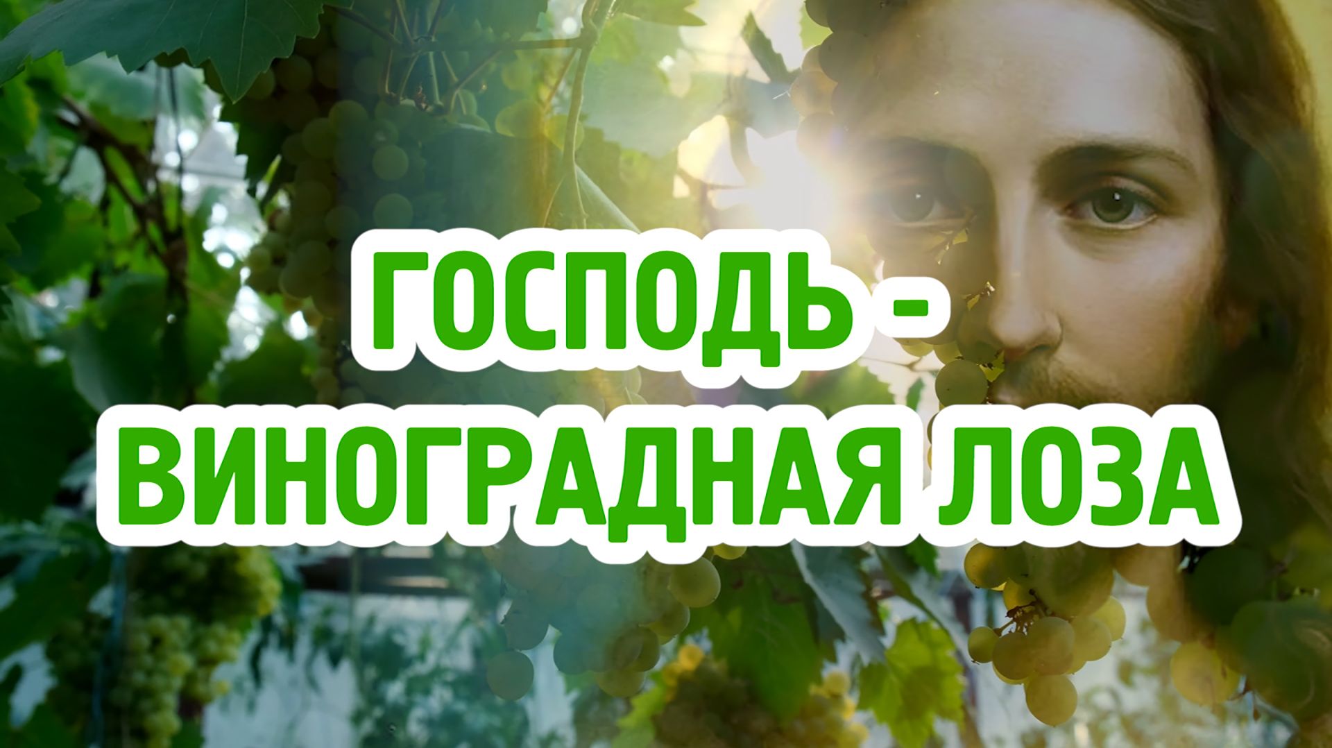 Господь - Виноградная Лоза