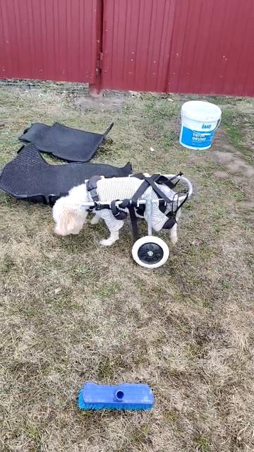 MOV_20260419_103019_183 (1)