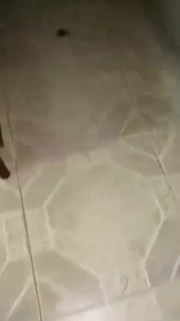 Он бессмертный