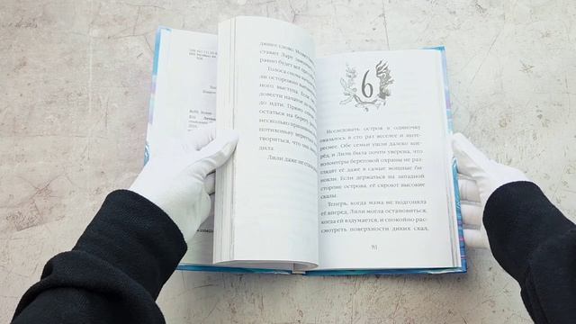 Летний дельфин