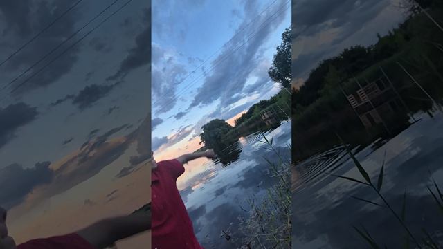 23712.mp4