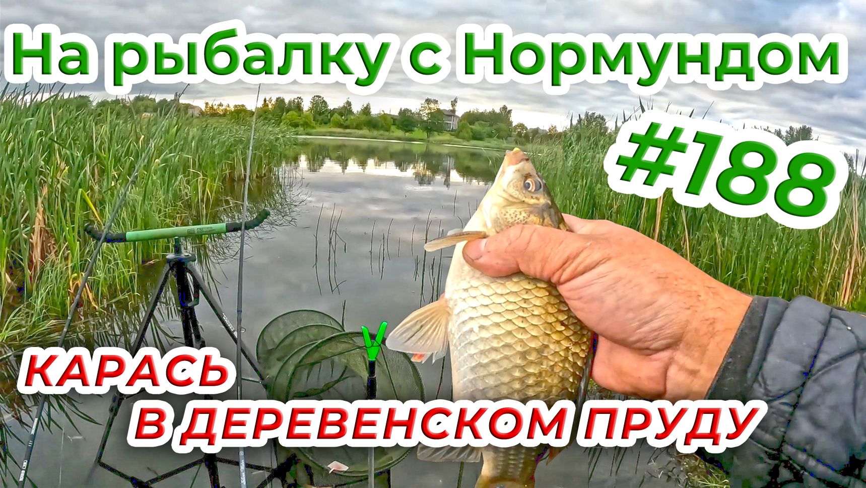 Карась на флэт в деревенском пруду / На рыбалку с Нормундом