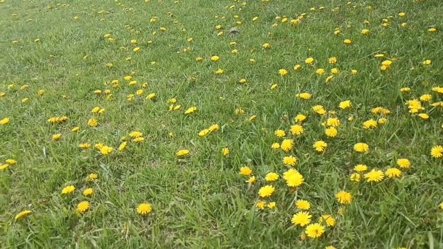 Глянем на село! Лето наступило!
Накачала водички!💥❤️🌹
