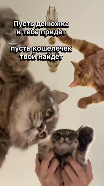 Приворот на денюжку