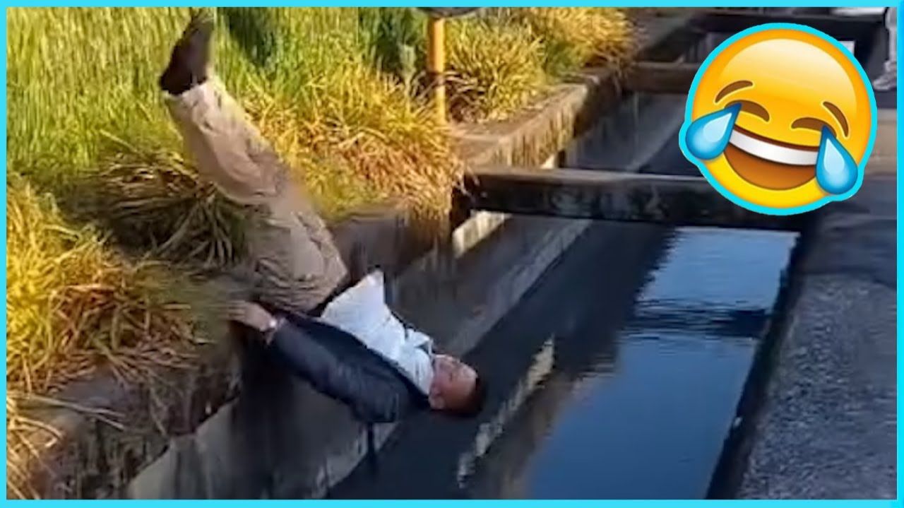 Лучшие смешные видео 🤣 - Люди, которые идиоты 🤣 Попробуй не смеяться - ОТ Funny Dog 🏖️ #61