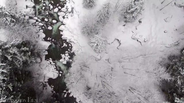 Задачи жизни. Сен Жермен 23.12.2017