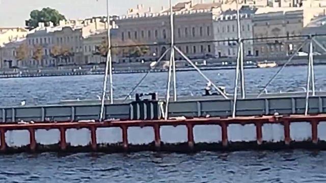 Архив 24 года. Санкт- Петербург. Прогулка по Васильевскому острову.