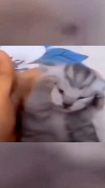 Самый сложный персонаж в Бравл Старс?