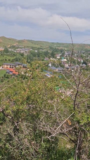 Бургулюк