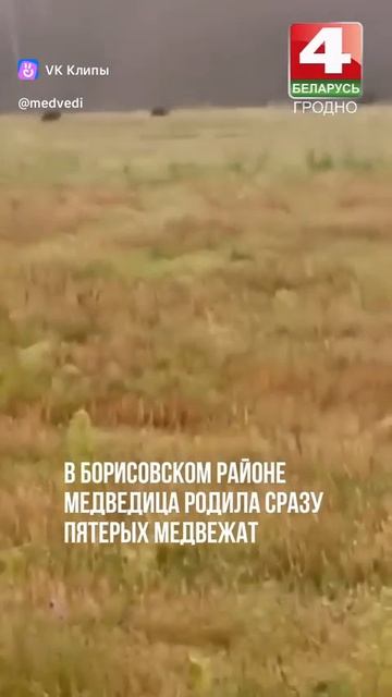 Vkclips_20260527084806