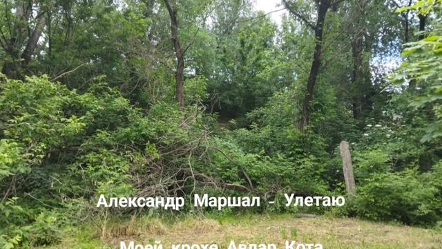 Маршал Александр - Улетаю