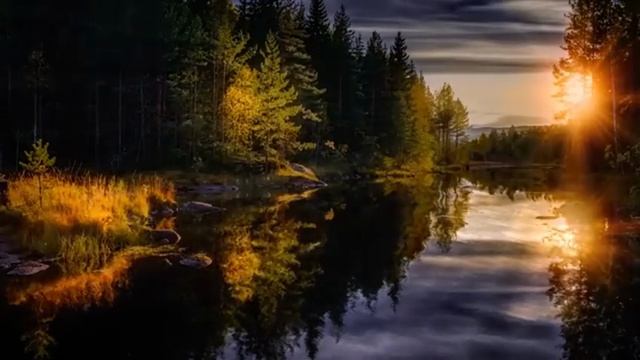 ТАЙГА. Истории про лес. Охотничьи истории. мистика.