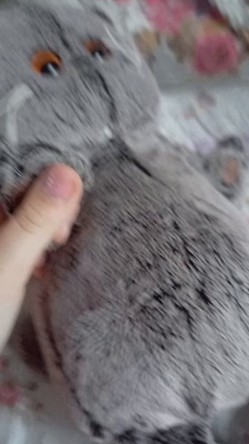 у басиков забрали телефон