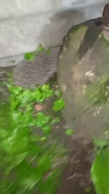 топ олдовский мемасик