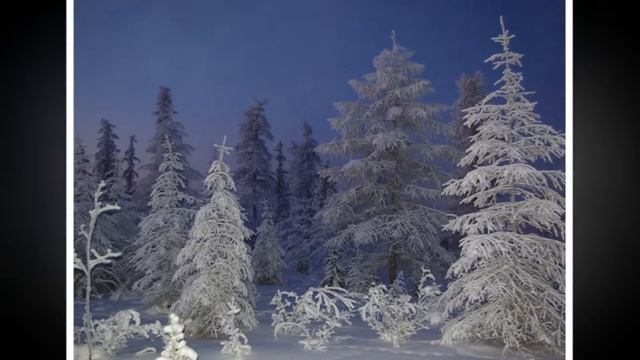 В. П.  Астафьев. Красивый, философский, зимний рассказ 
