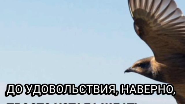 Наверно