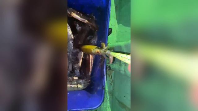 Кальмарный воблер Frog (110 мм 17 гр) от Mr.Musurok 🔥