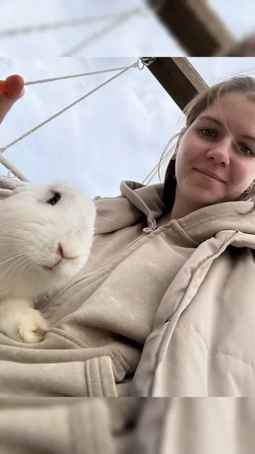 🐇🐰🐇