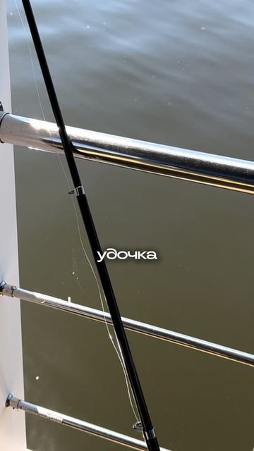 Пиши «свобода» для записи на экскурсию! #хаусбот #houseboat #домнаводе #жизньнаводе