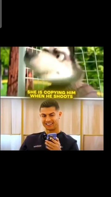 1000066341.mp4
