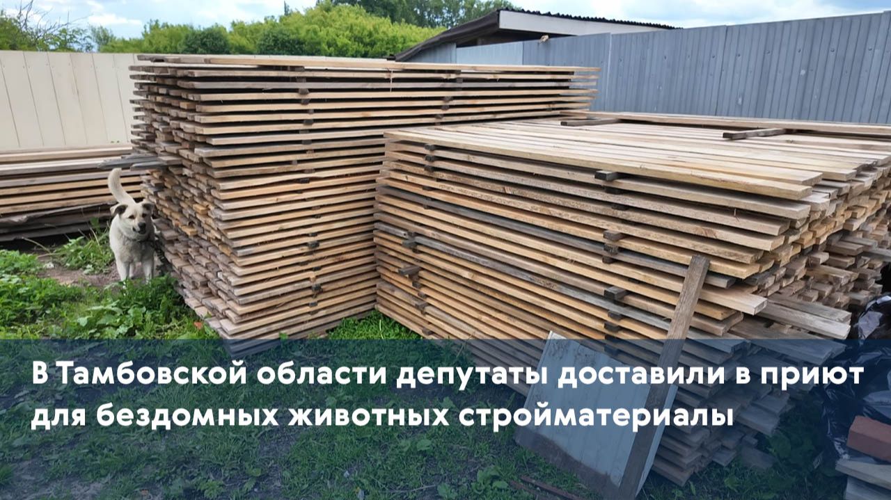 В Тамбовской области депутаты доставили в приют для бездомных животных стройматериалы