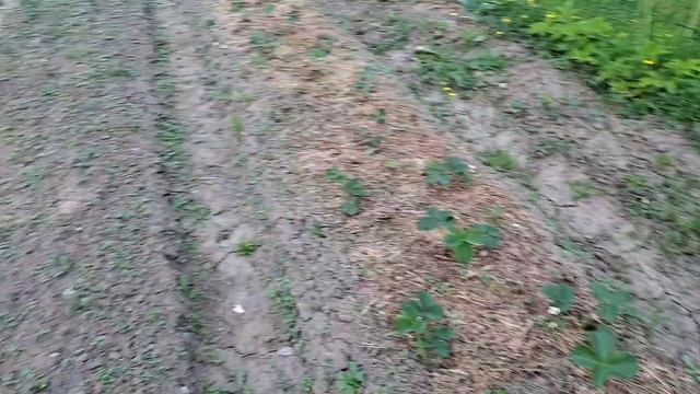 участок у моей Танюшки с Сашей