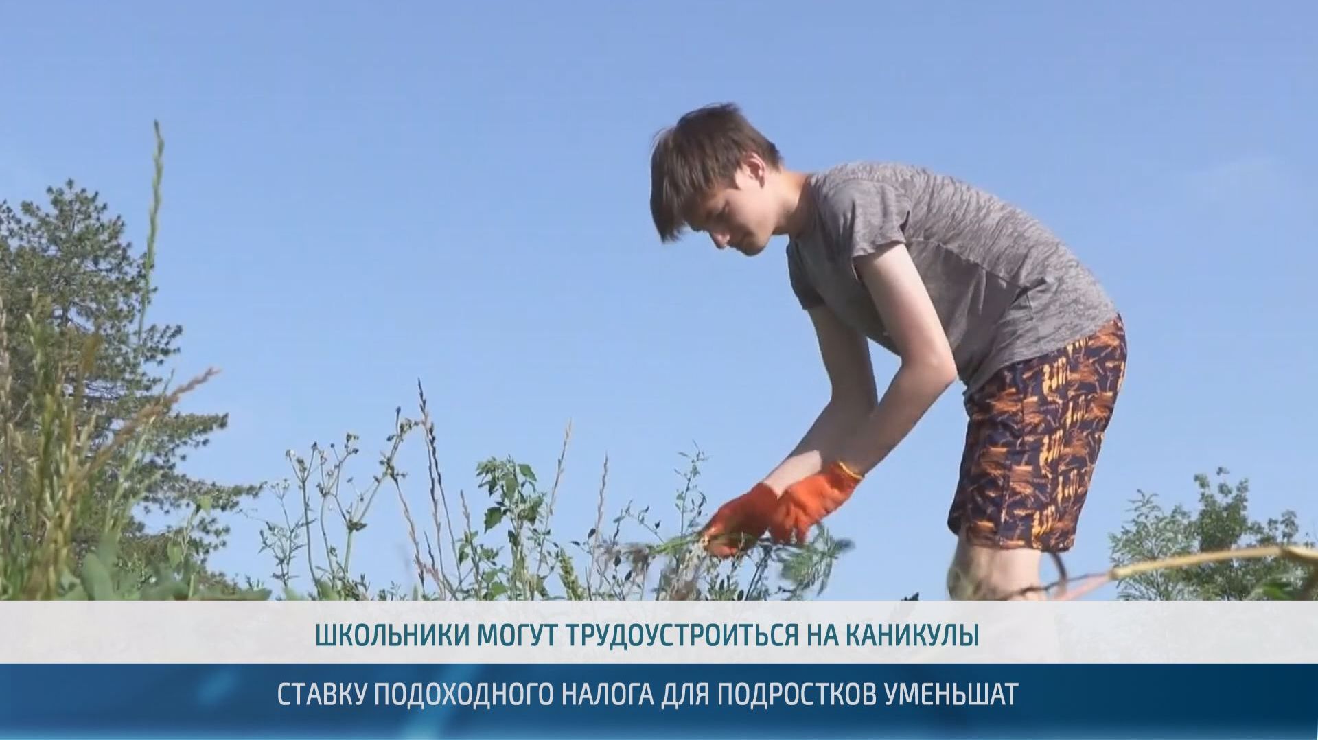 Летняя подработка: ставку подоходного налога для подростков уменьшат – 04.06.2026