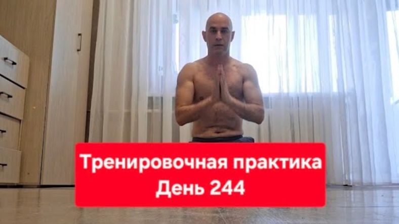 Тренировочная практика. День 244