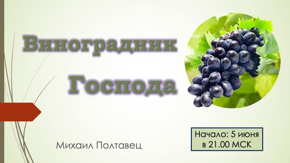 Виноградник Господа. Михаил Полтавец