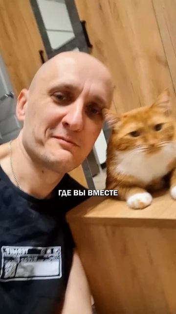 Любовный лайфхак #кот