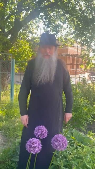 «Спокойствие ревнителям Православия». Духовная телеграмма от Батюшки, 5 июня 2026